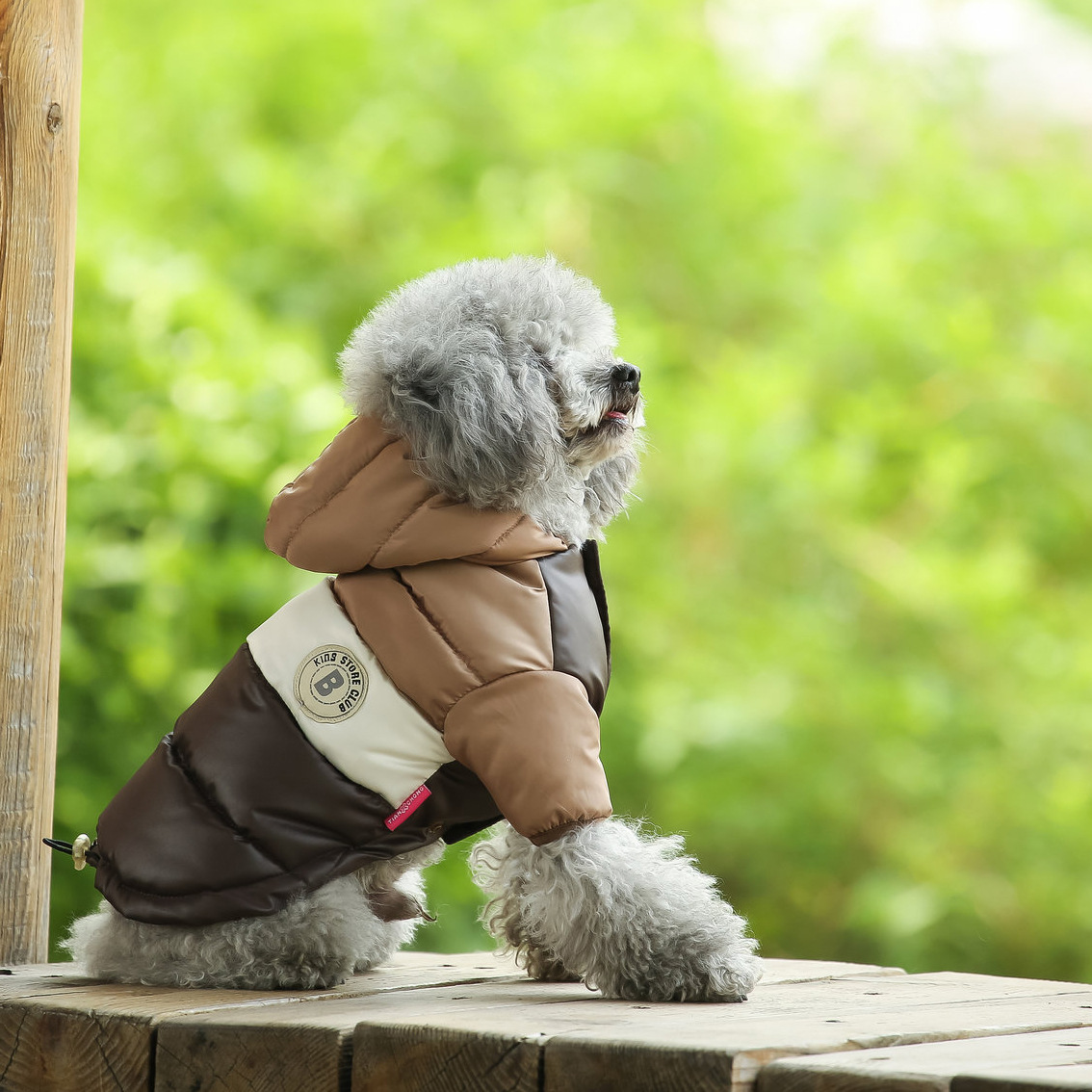 Pet Vest Pet Supplies Winter C - đánh giá và giá Winter Clothing Options