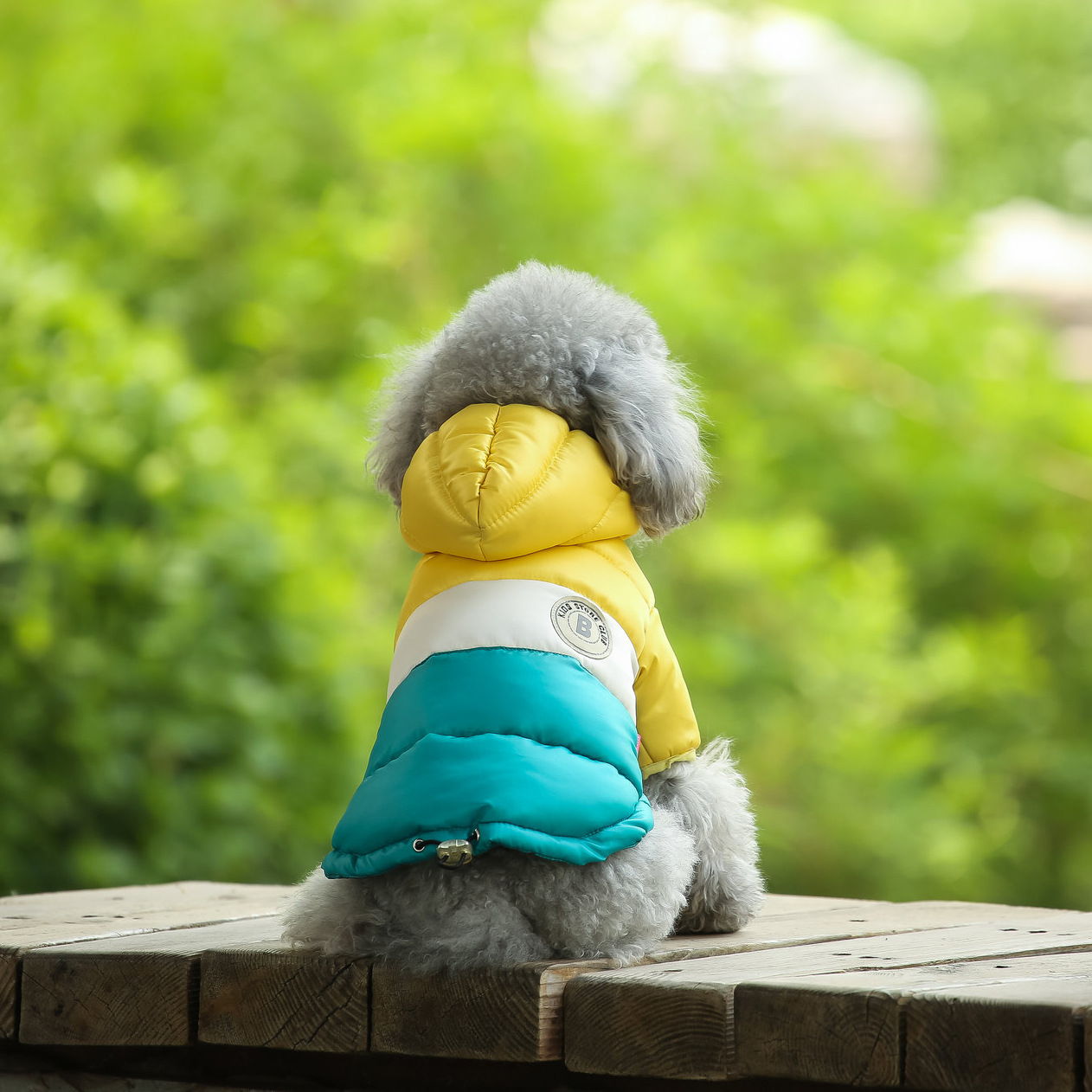 Pet Vest Pet Supplies Winter C - đánh giá và giá Winter Clothing Options