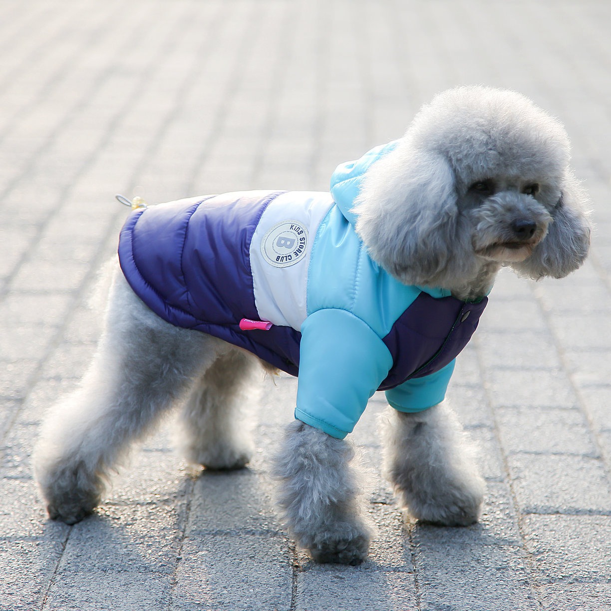 Pet Vest Pet Supplies Winter C - đánh giá và giá Winter Clothing Options